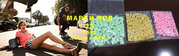 PSILOCYBIN Алзамай