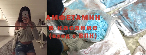 PSILOCYBIN Алзамай