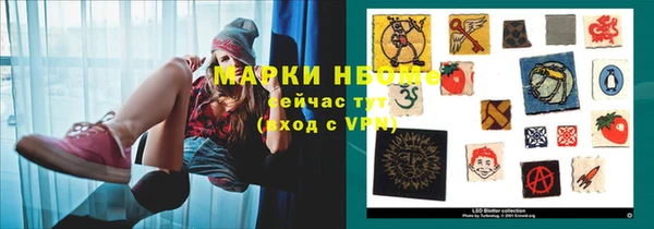 PSILOCYBIN Алзамай