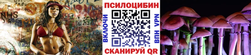 Псилоцибиновые грибы Cubensis  Неман 